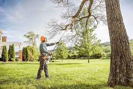 Best Utility Line Clearance  in Centennial Park, AZ